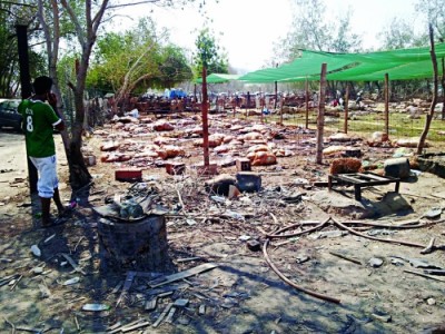 إتلاف ومصادرة 932 رأسًا مذبوحة عشوائيًا بعكيشية مكة