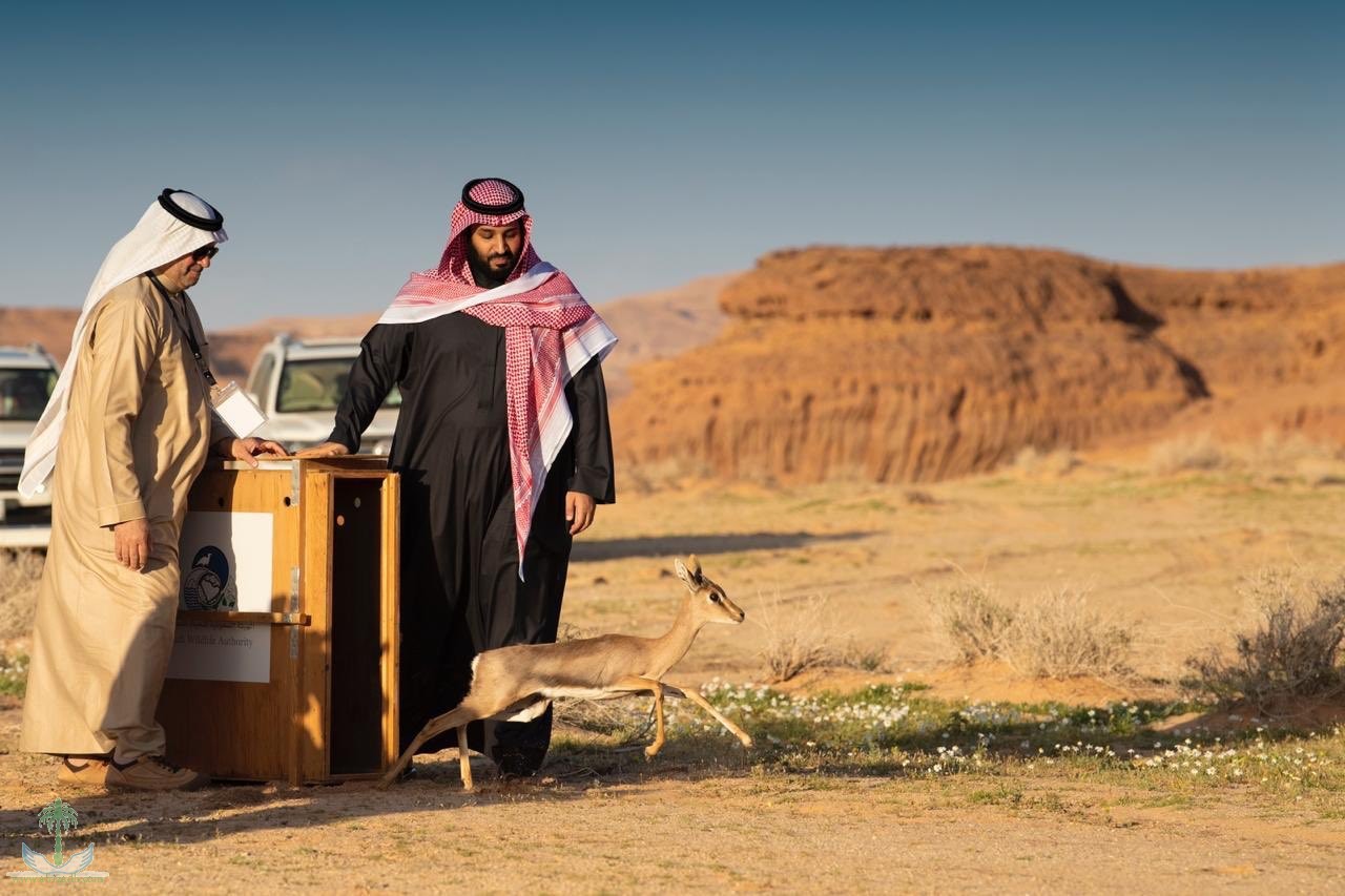 ولي العهد يطلق محمية «شرعان الطبيعية»
